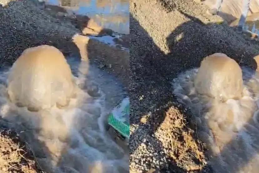Tokat'ta sondajdan çıkan su köylülerin yüzünü güldürdü