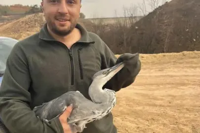 Bursa İnegöl ilçesinde doğa gezisine çıkan iki genç, misinaya takılan mavi balıkçıl kuşunu kurtardı.