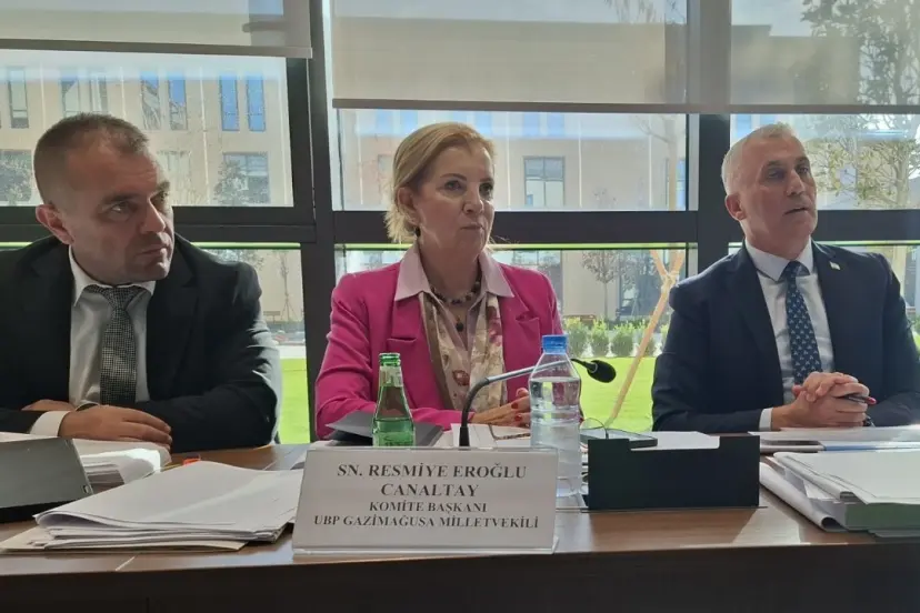 Ekonomi ve Enerji Bakanlığı bütçesi Komitede oy çokluğuyla geçti…