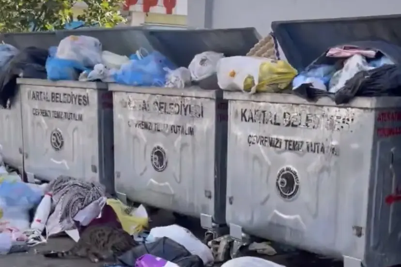 İstanbul Kartal'da  ÇÖP DAĞLARI oluştu !