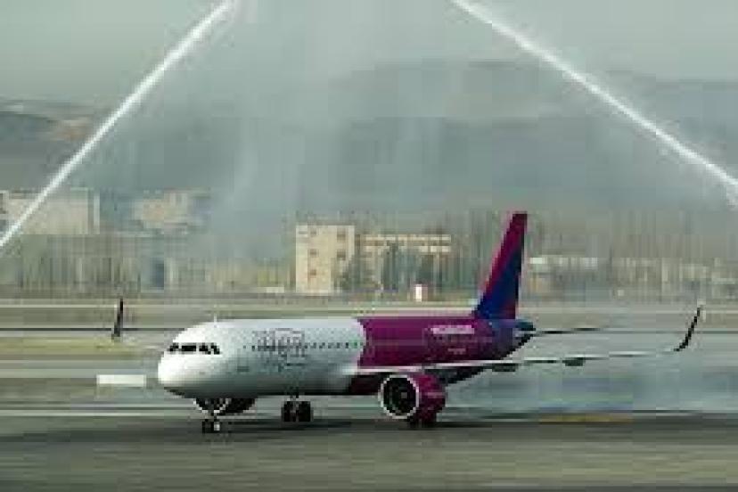 Köln Havalimanı'nda iki yolcu apronda uçağı durdurmaya çalıştı