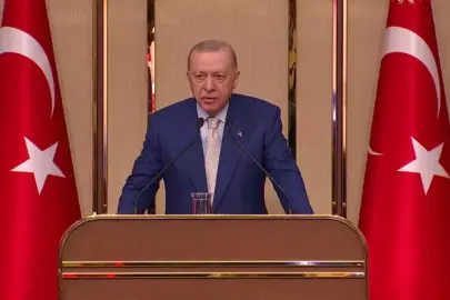 Cumhurbaşkanı Recep Tayyip Erdoğan, Uluslararası Demokratlar Birliği Heyetini Kabul Programı'nda konuştu.