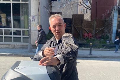 İstanbul Fatih Yedikule’de Duygulandıran Hikâye: Esnaf ile Karganın 3 Yıllık Dostluğu