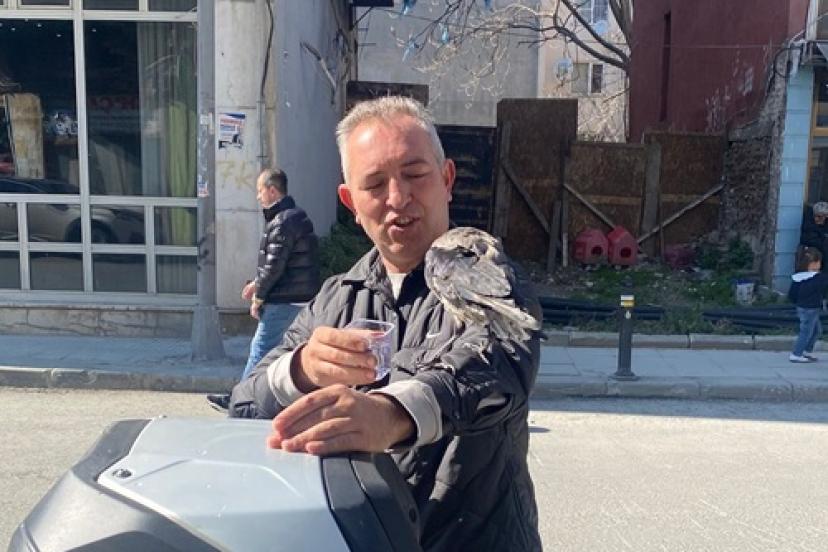 İstanbul Fatih Yedikule’de Duygulandıran Hikâye: Esnaf ile Karganın 3 Yıllık Dostluğu